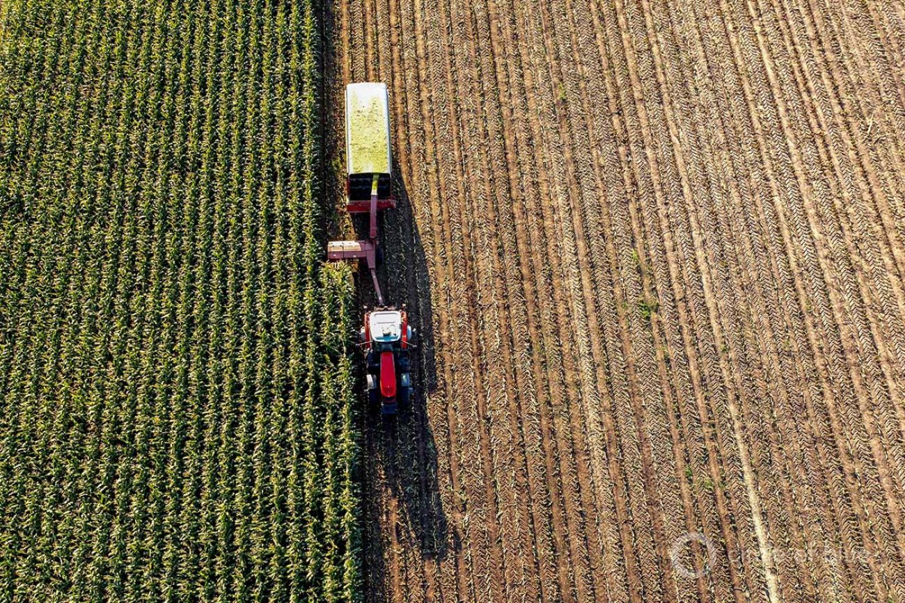 farm