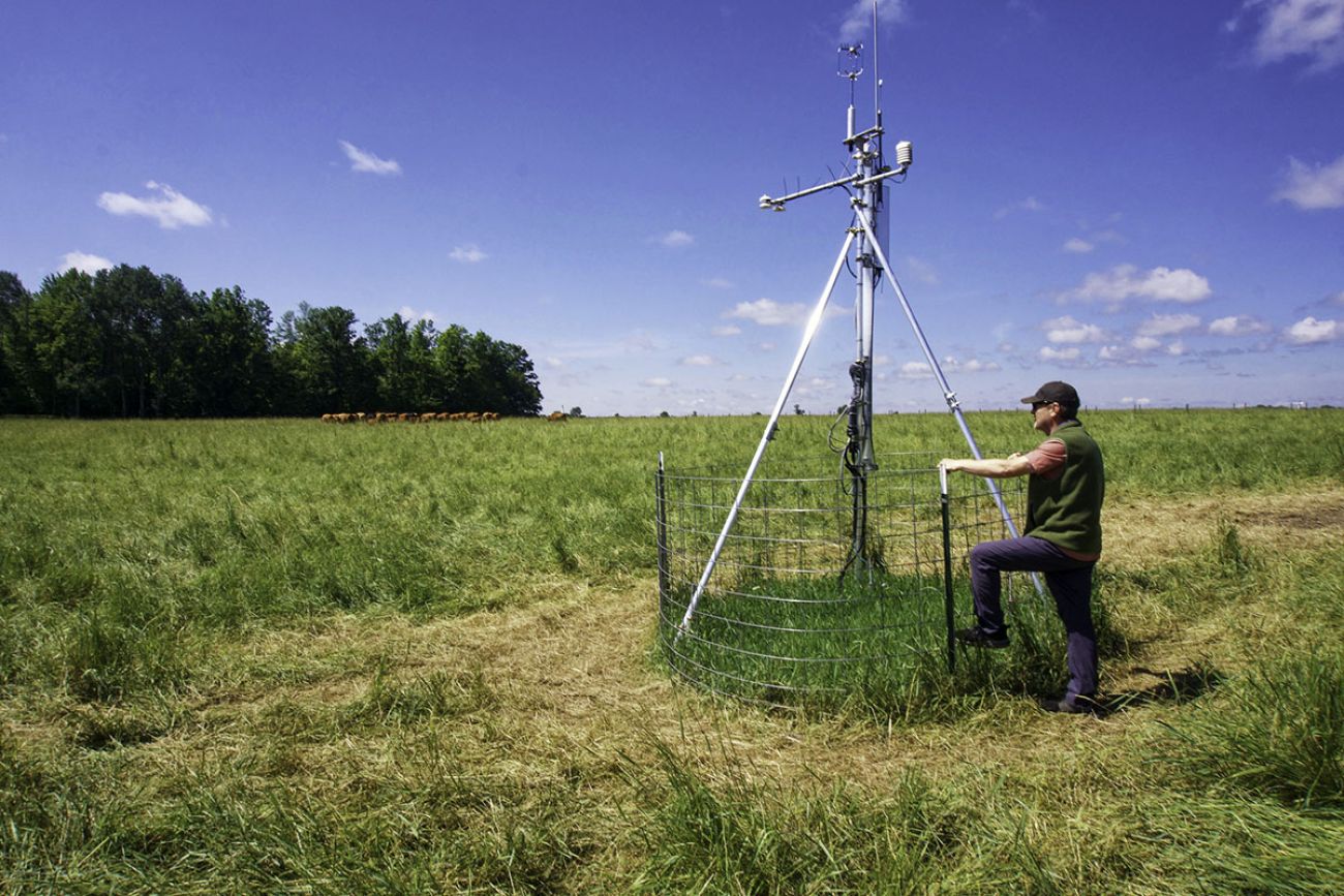 Jason Rowntree standing in a field