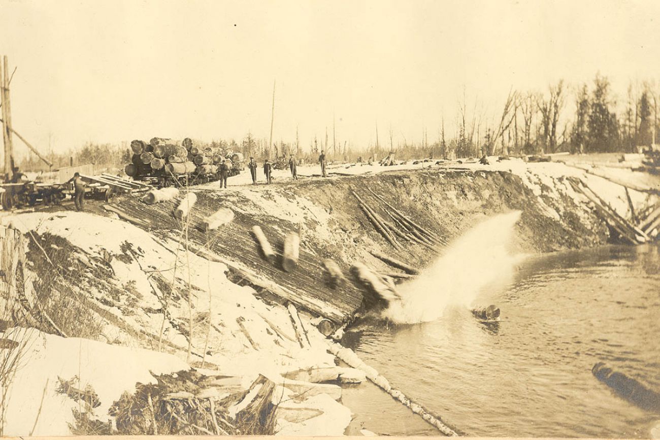 A historical photo of logging along the Manistee River in Michigan.