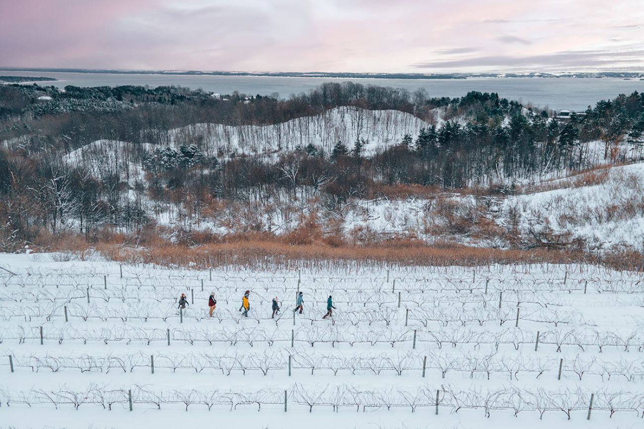 Snowshoers exploring a snowy wineyard in Michigan.