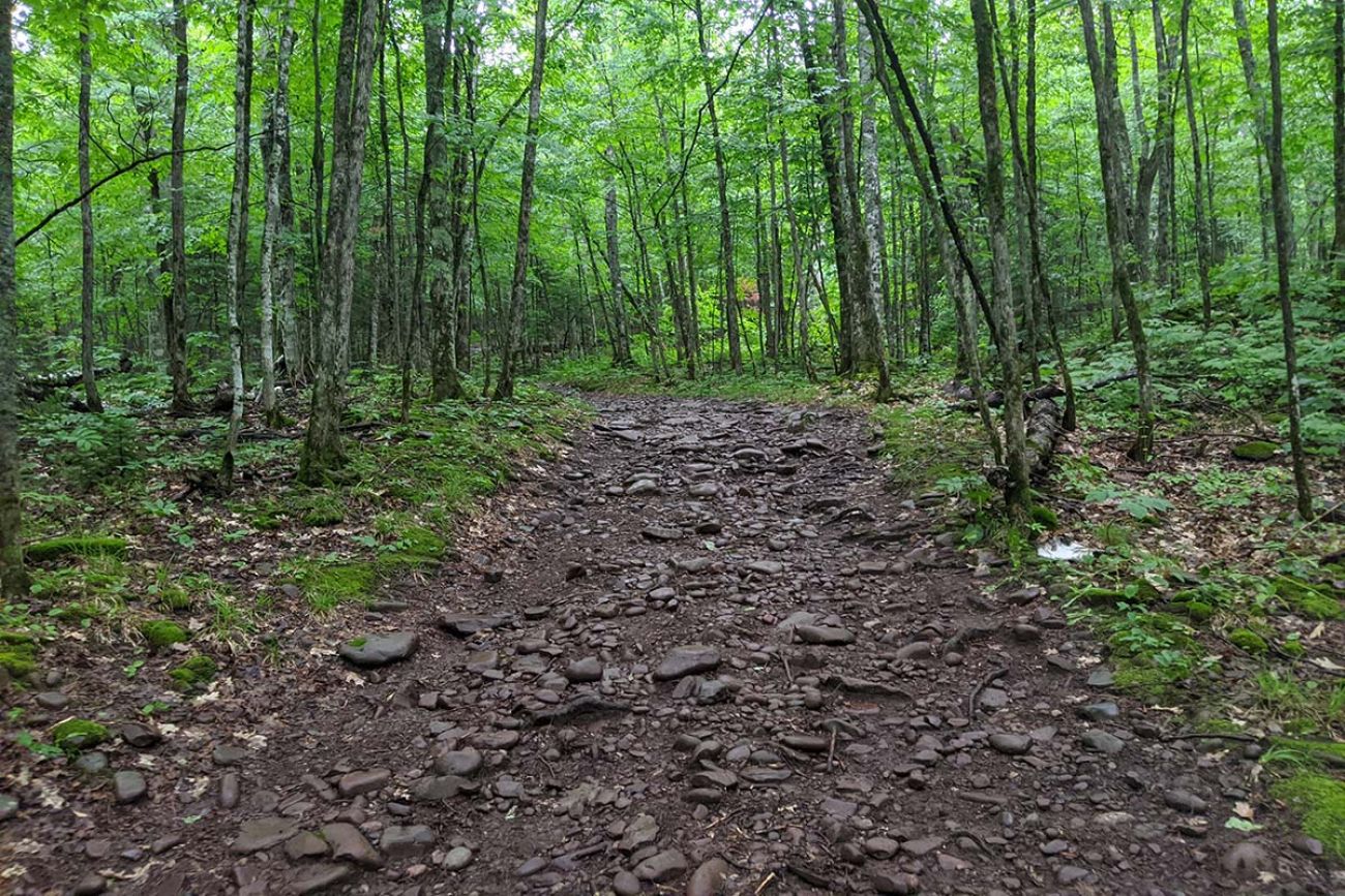 A part of the North Country Trail.