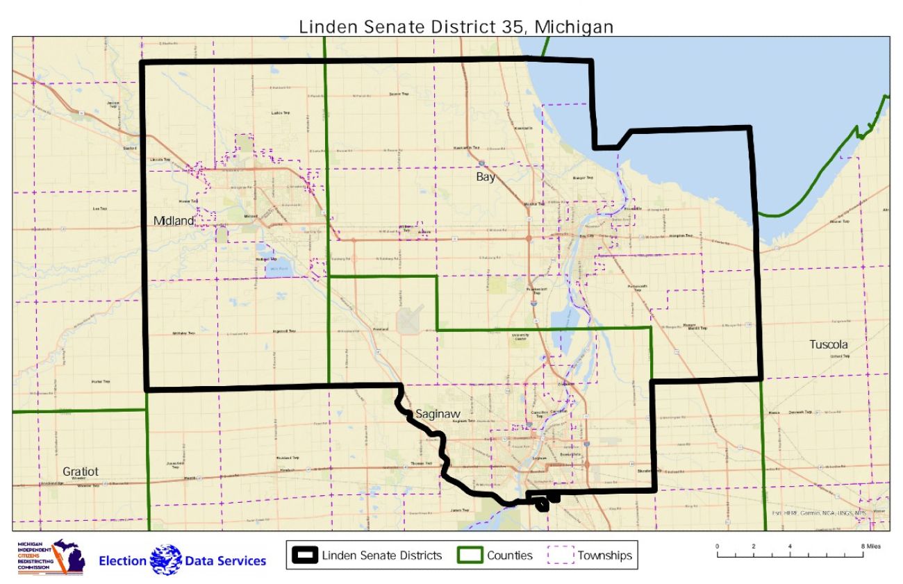 Map of Saginaw district