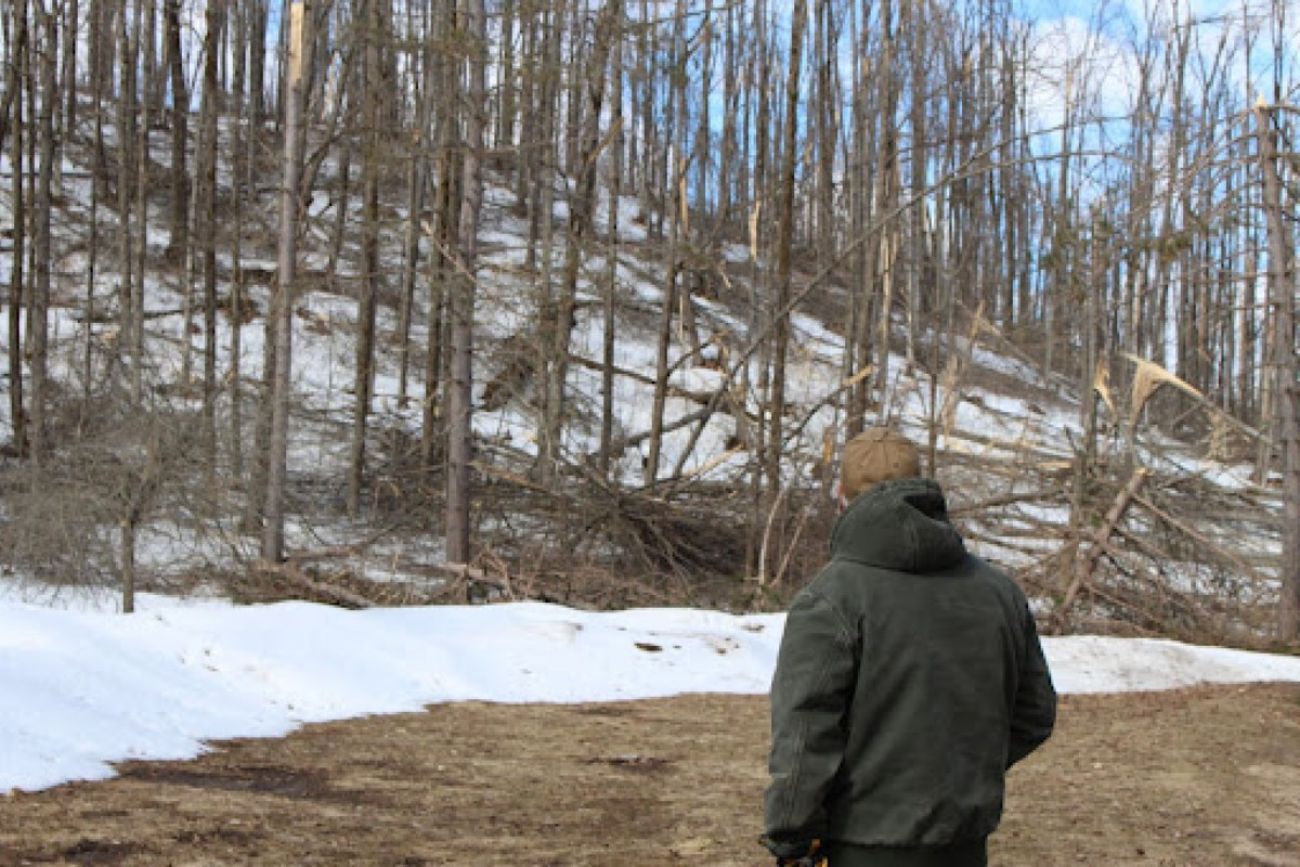 Bill Sterrett looks at downed trees on his forestland