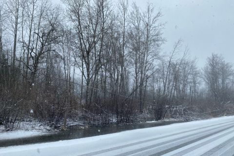 Downed powerline
