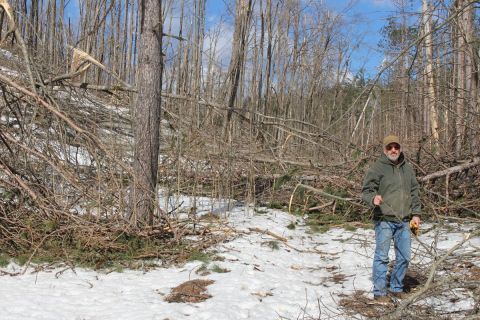Bill Sterrett stands among downed trees on his property