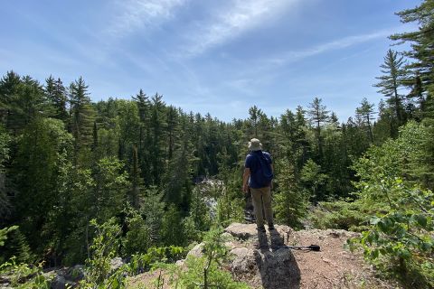 A hiker on a trail. 