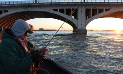 Chesterfield resident Bruce Zurawski fishing on the side of the boat